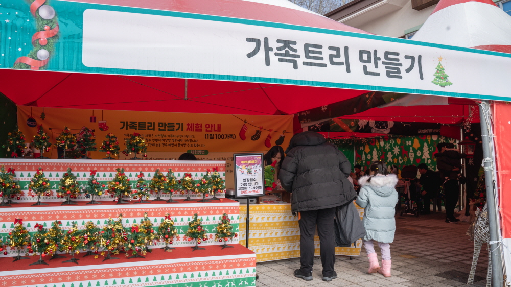 축제갤러리